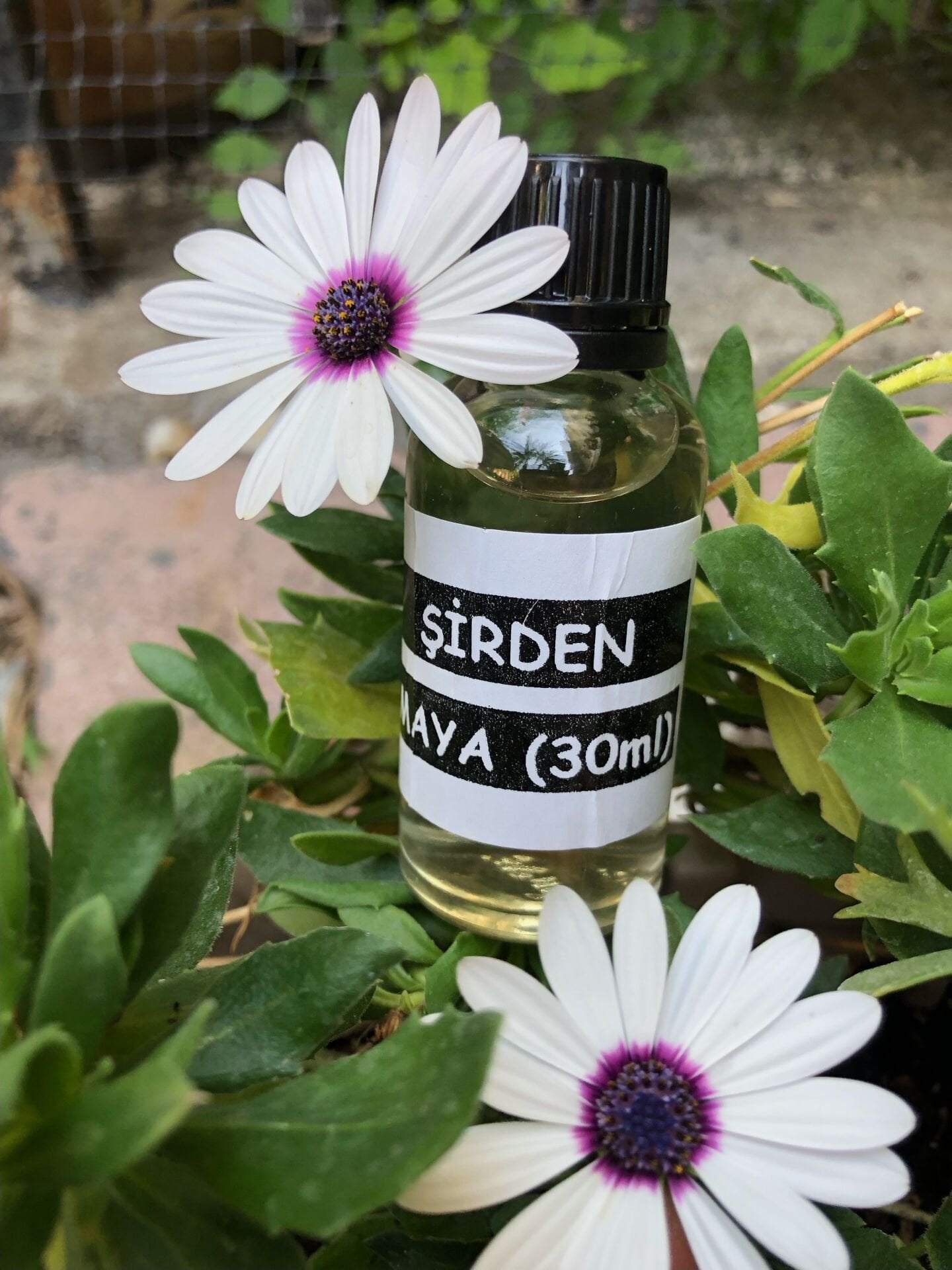 ŞİRDEN Maya 30 ml. (Oğlak ve Kuzu)
