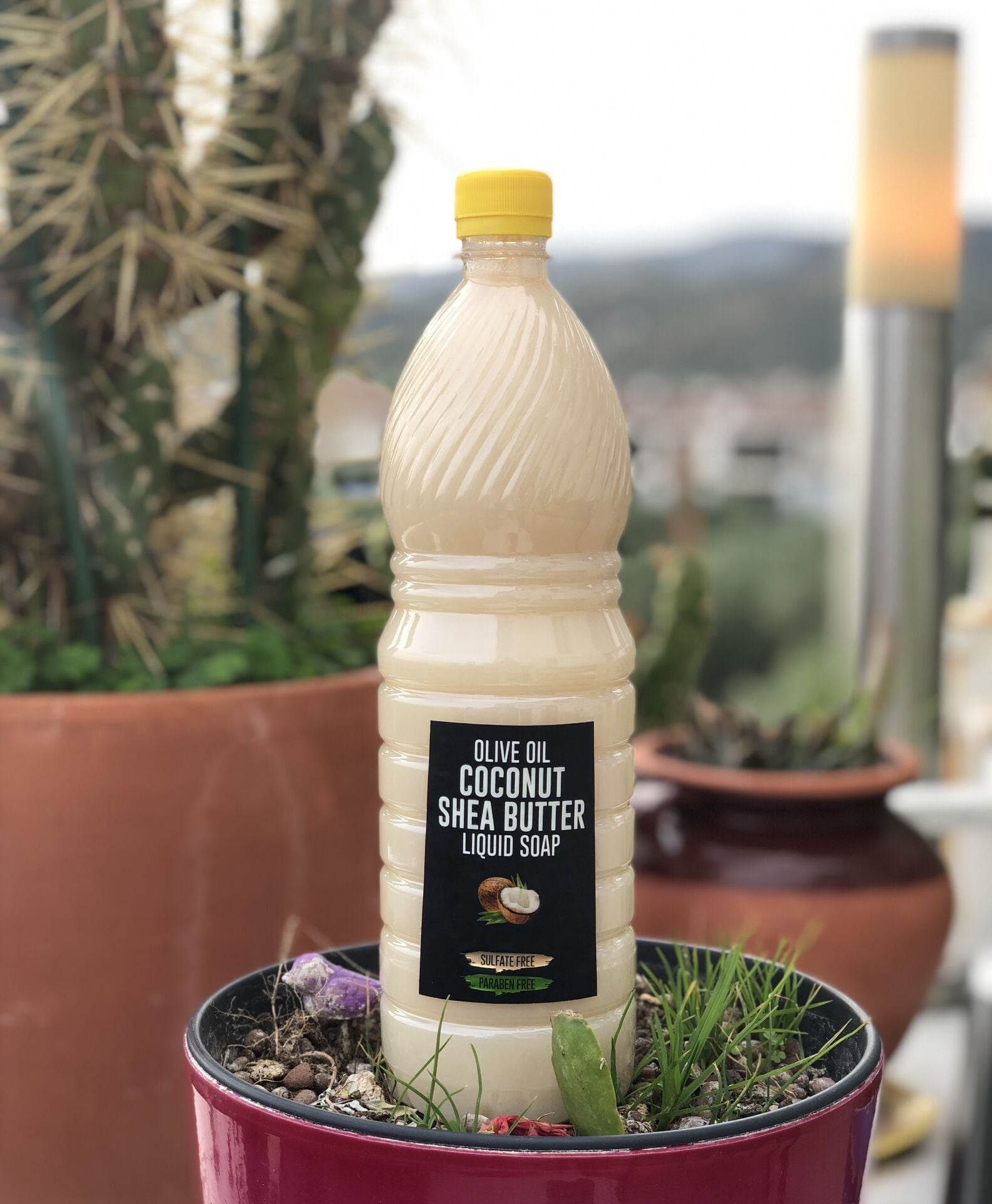 Zeytinyağlı ve HİNDİSTAN CEVİZLİ Sıvı Sabun 1 Litre