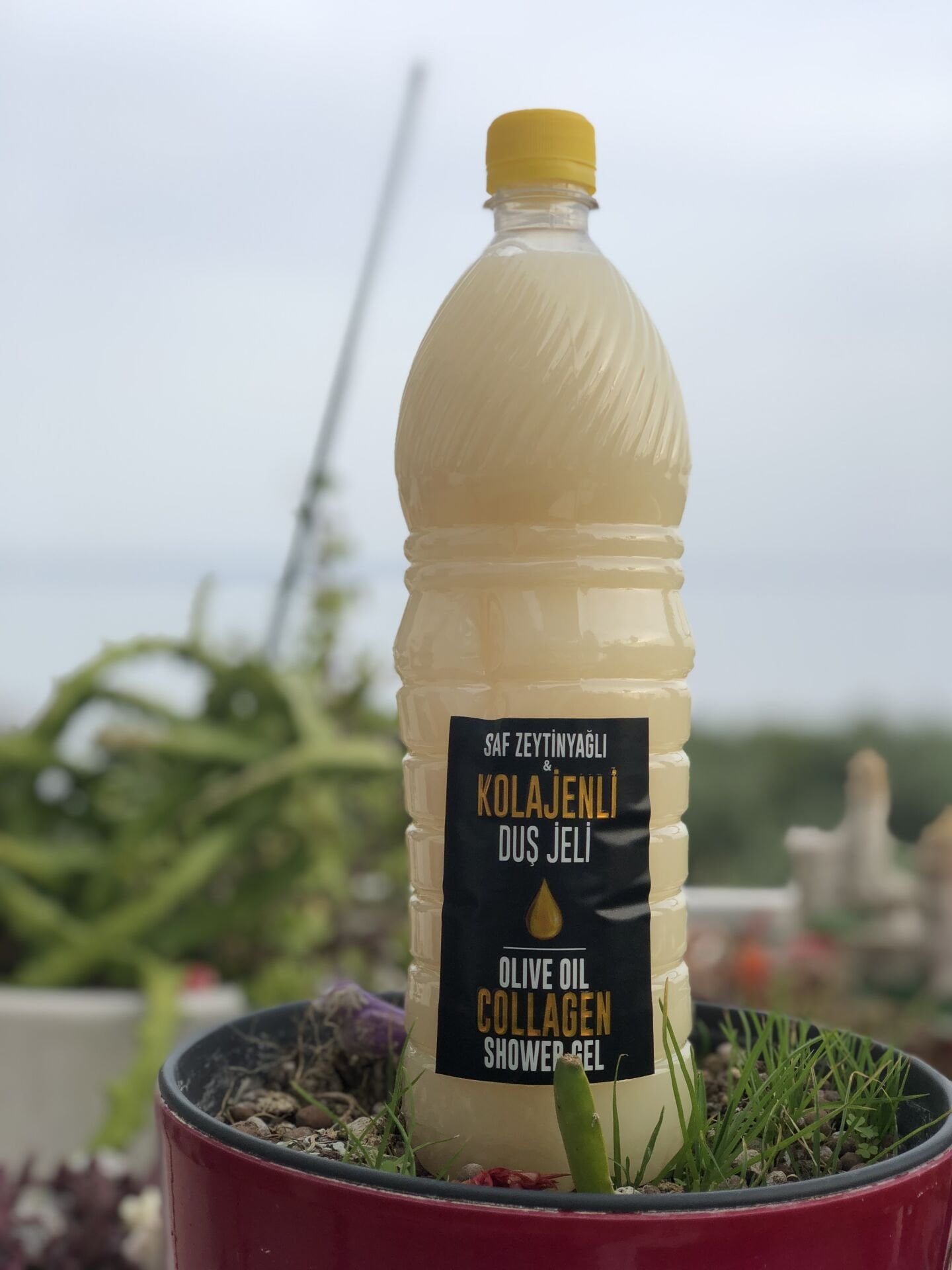 Zeytinyağlı ve KOLAJENLİ Duş Jeli 1 Litre