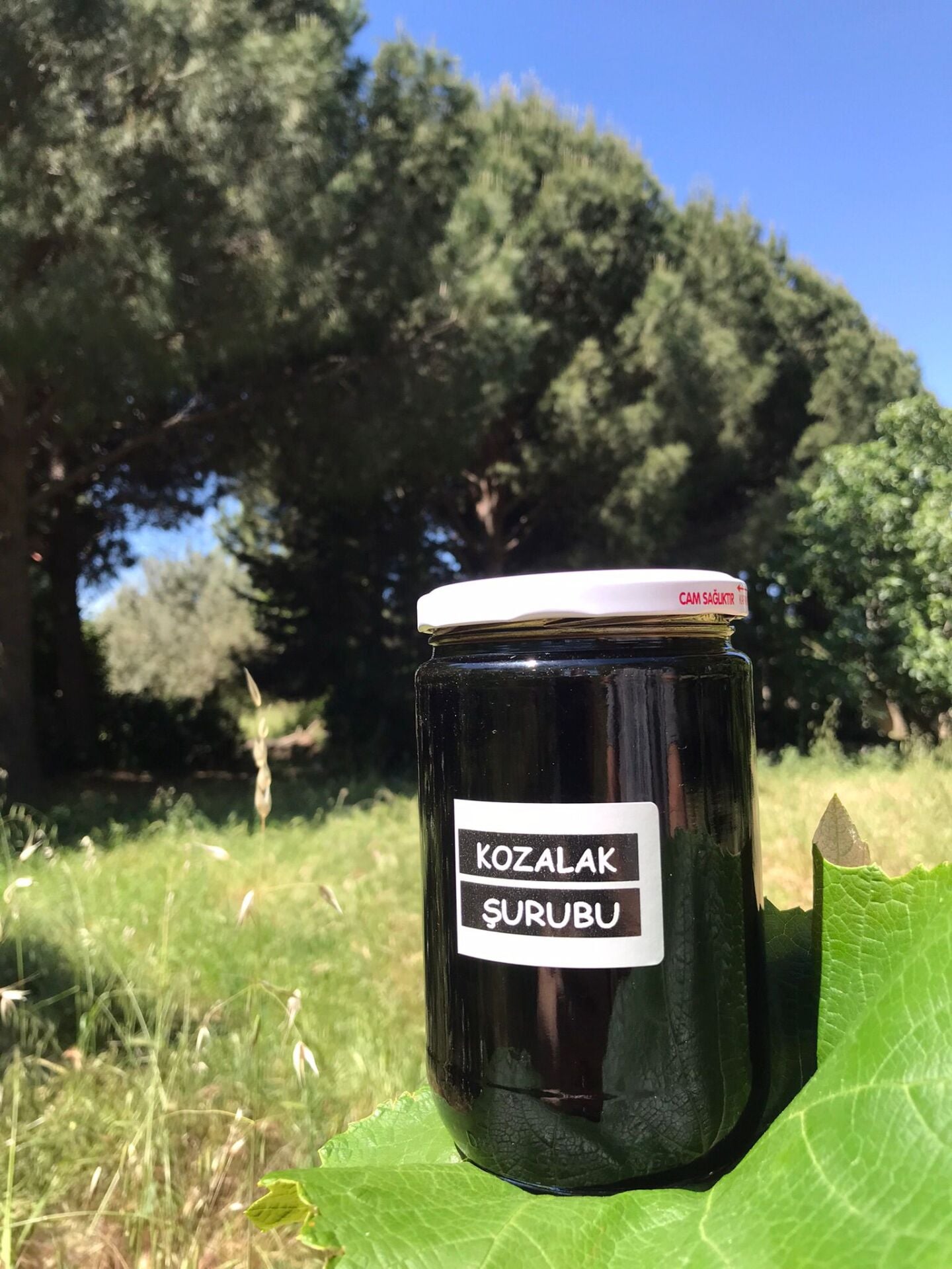 KOZALAK Şurubu 850 Gr. (KAZDAĞLARINDAN)