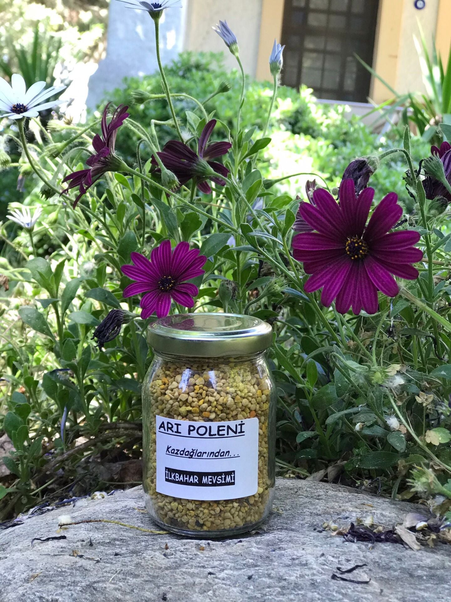 Arı POLENİ 100 Gr. (KAZDAĞLARINDAN)