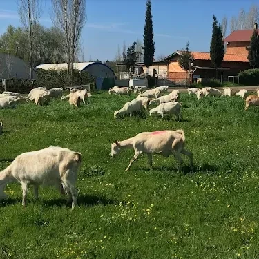 Çiftlikte Doğal Üretim