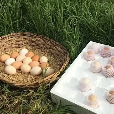 Ürünlerin Hazırlanması